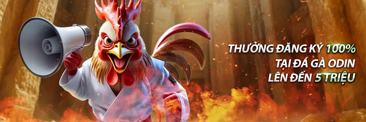 Giao diện nền tảng KM1888B Đăng Nhập hiện đại và chuyên nghiệp